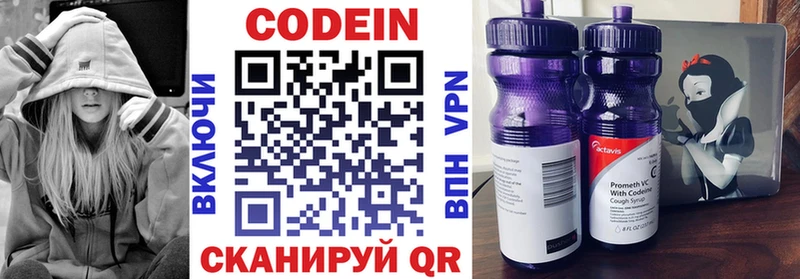 МЕГА ссылки  купить наркоту  Петровск-Забайкальский  Кодеин напиток Lean (лин) 