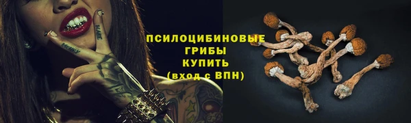 индика Алексеевка