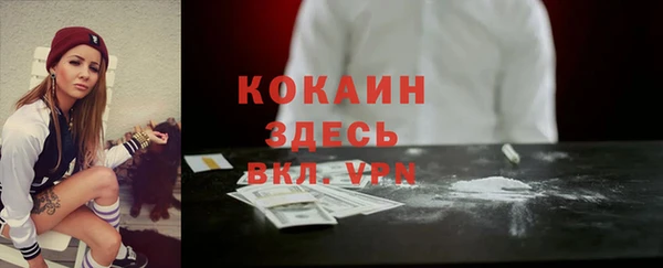 индика Алексеевка