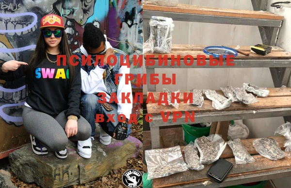 прущий лед Алексин