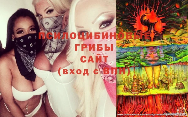 прущий лед Алексин