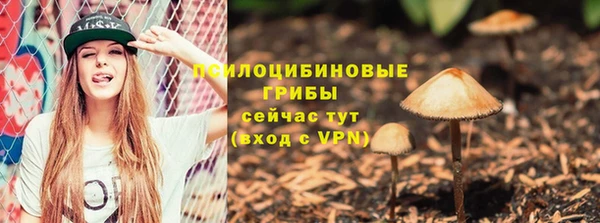 Альфа ПВП Алзамай
