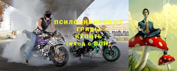прущий лед Алексин