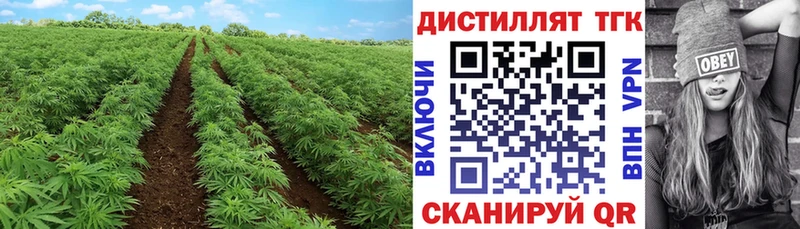 ТГК Wax  shop клад  Петровск-Забайкальский 
